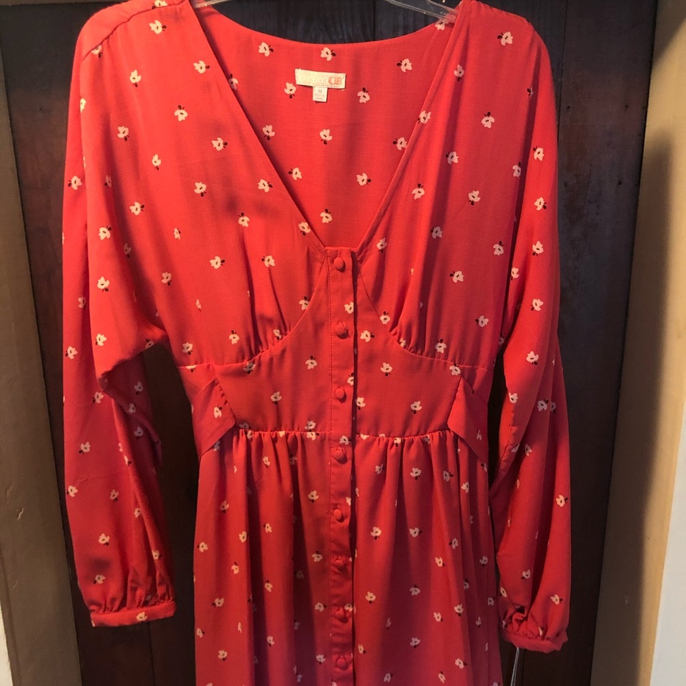 Gianni Bini dress!